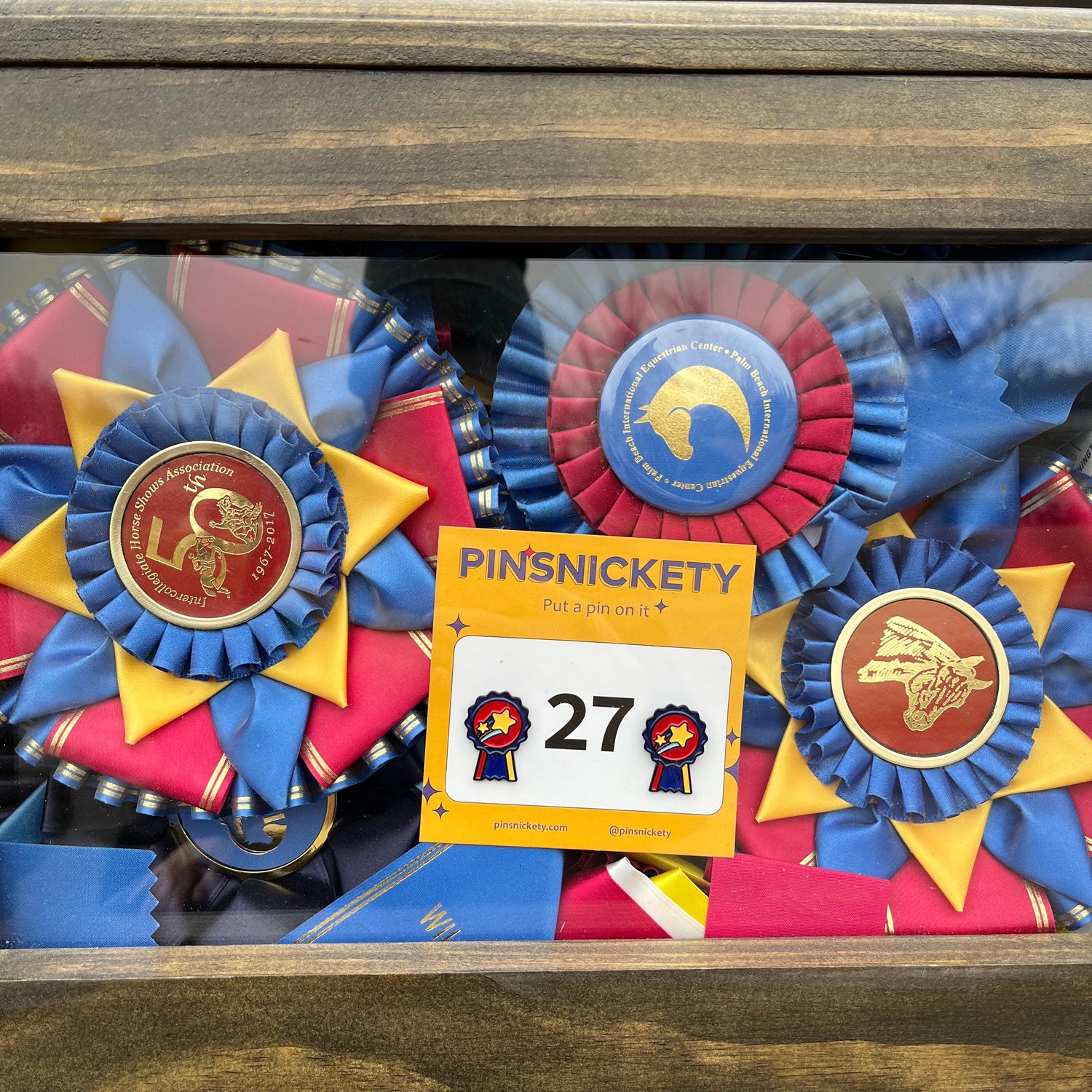 pinsnickety champion horse show number pins in a trophy case