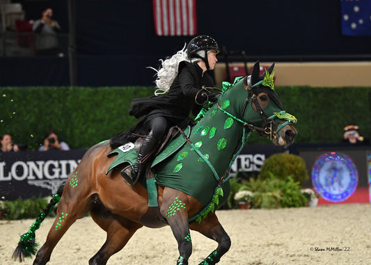 Pinsnickety's Great Washingon: In the Costume Class, the Show Ring, and the Gift Shop.