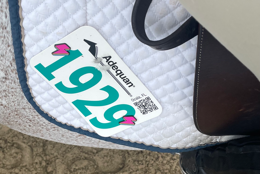 It's Electric! (Boogie Woogie Woogie!) It's Pinsnickety's Lightning Bolt.