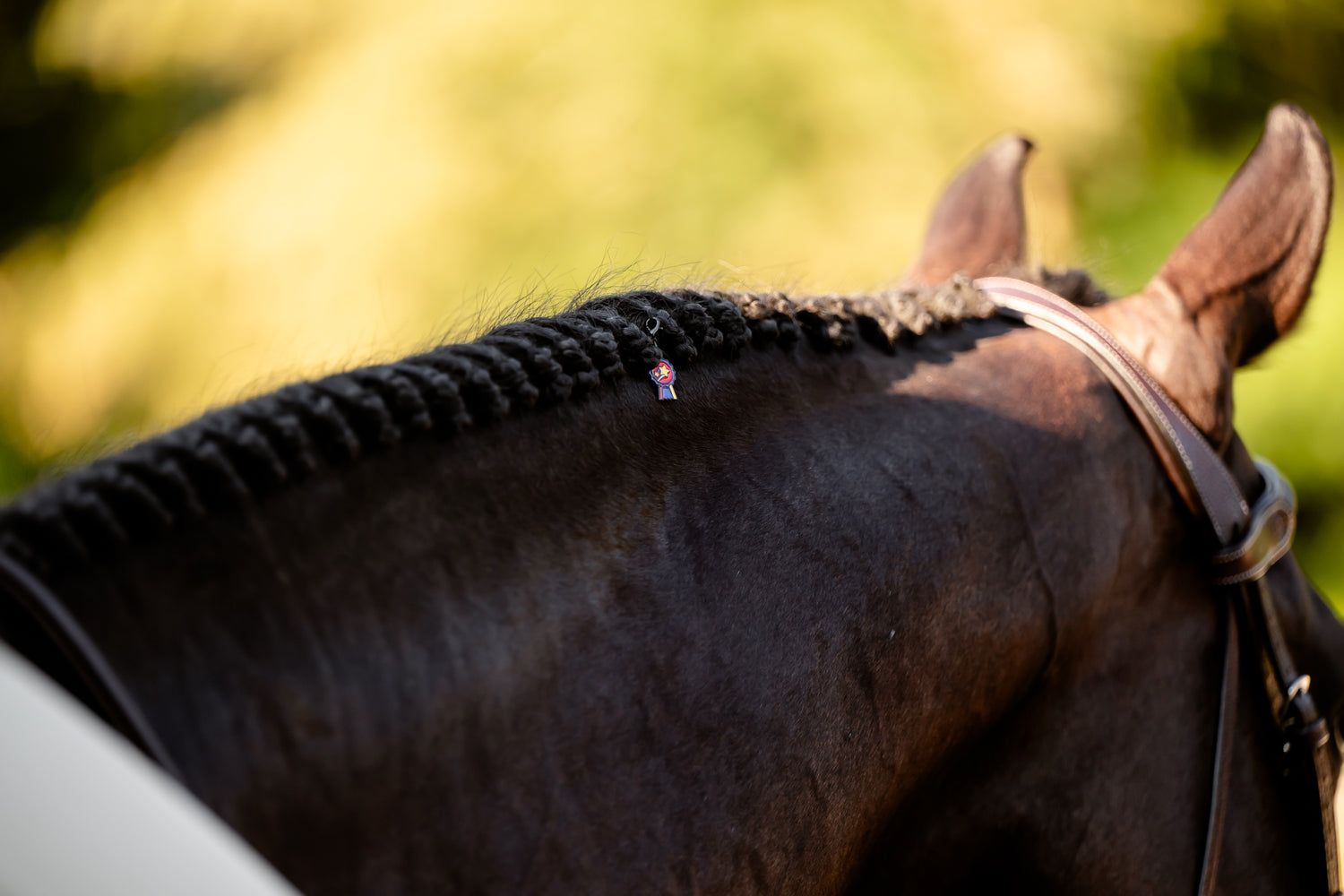 pinsnickety champion bridle charm in a horse's hunter braids