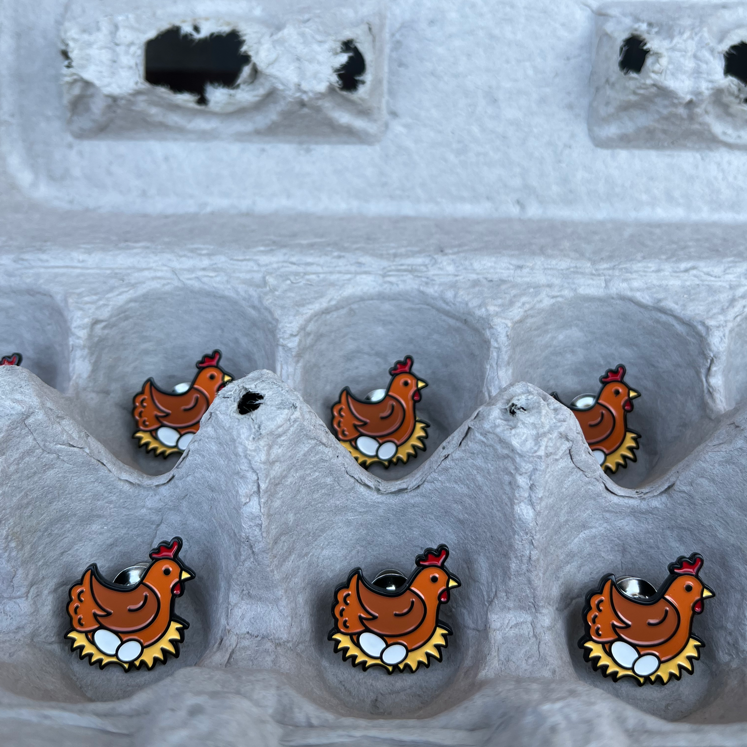 pinsnickety chicken horse show number pins in an egg carton