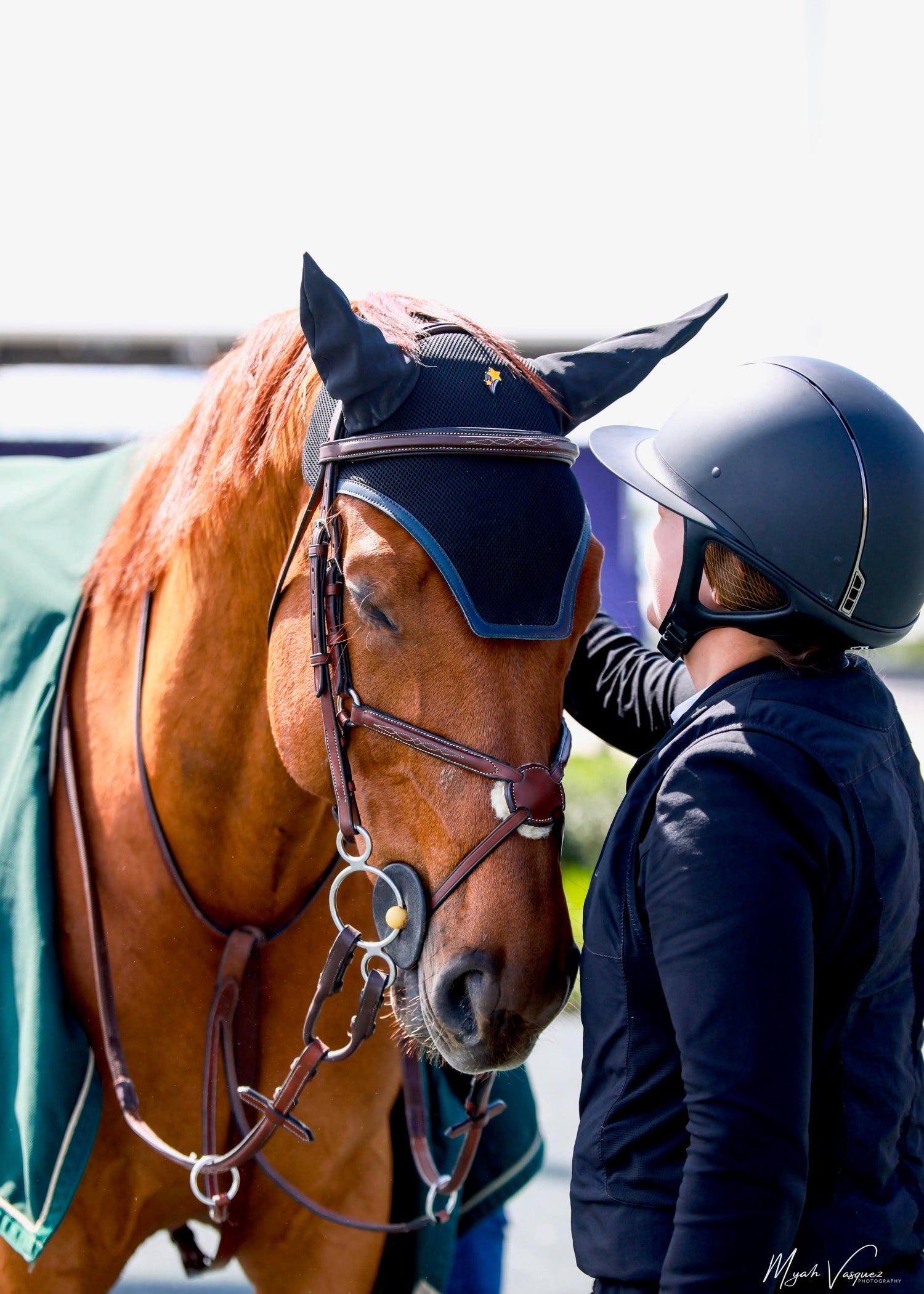 a rider patting her horse after a class. The horse is chestnut, dressed for the jumper ring, and wearing a pinsnickety shooting star horse show number pin on his black fly bonnet.