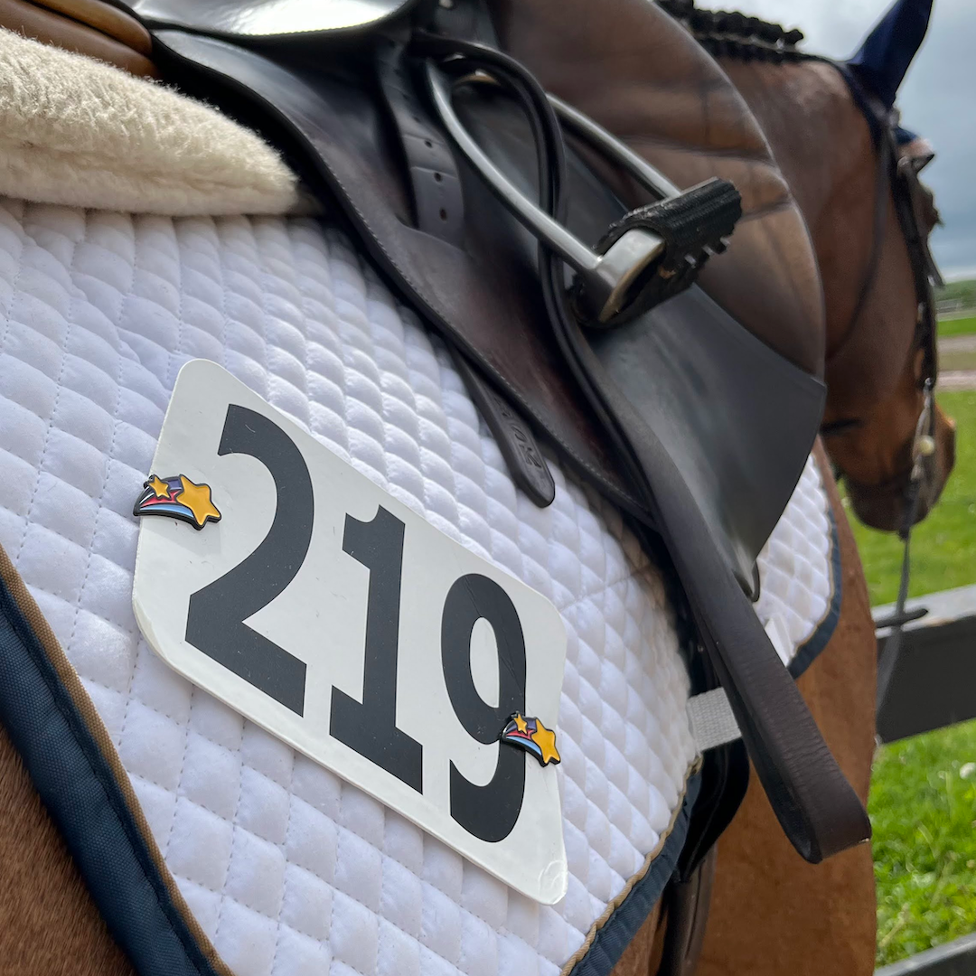 pinsnickety shooting star horse show number pins on a horse's saddle pad, seen from the rear.