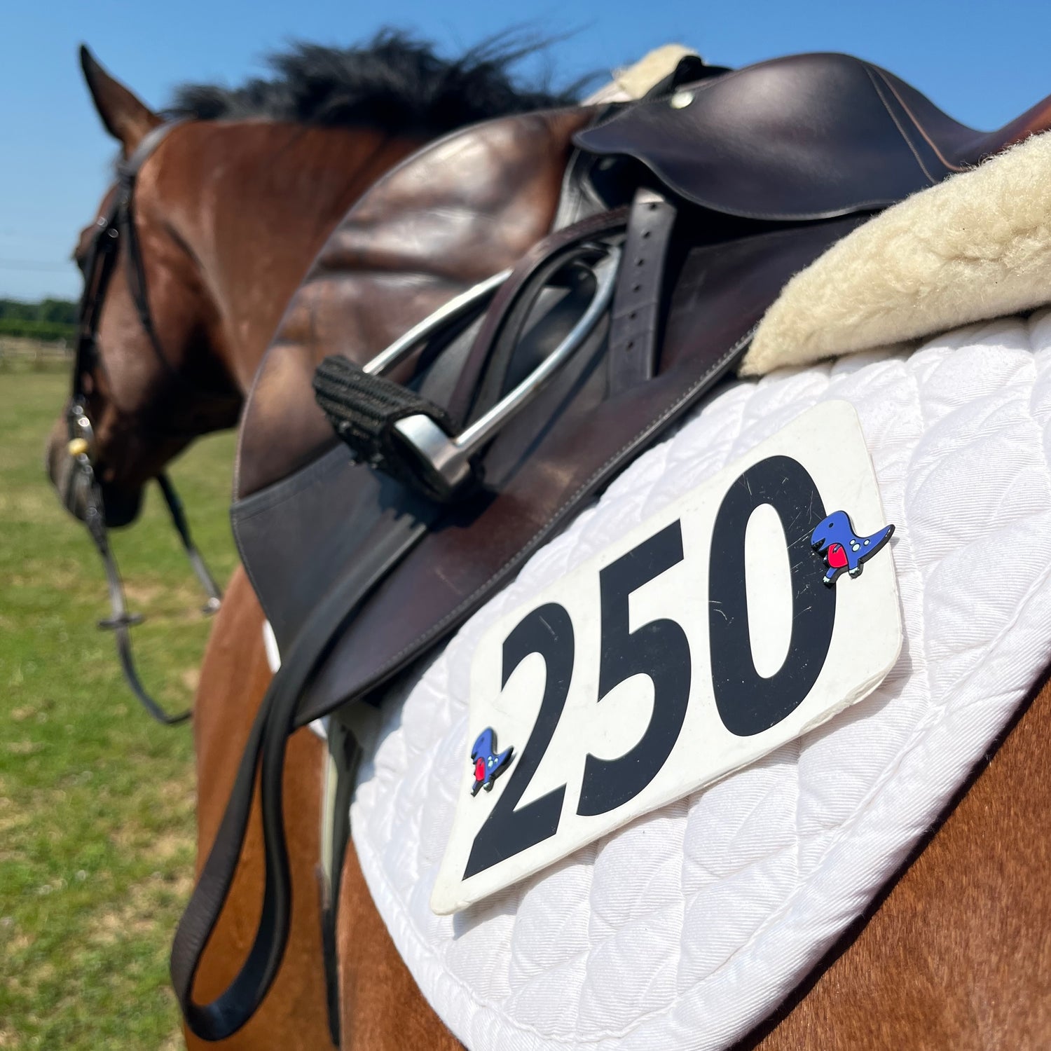 pinsnickety t-rex horse show number pins on a horse's saddle pad, shot from the rear