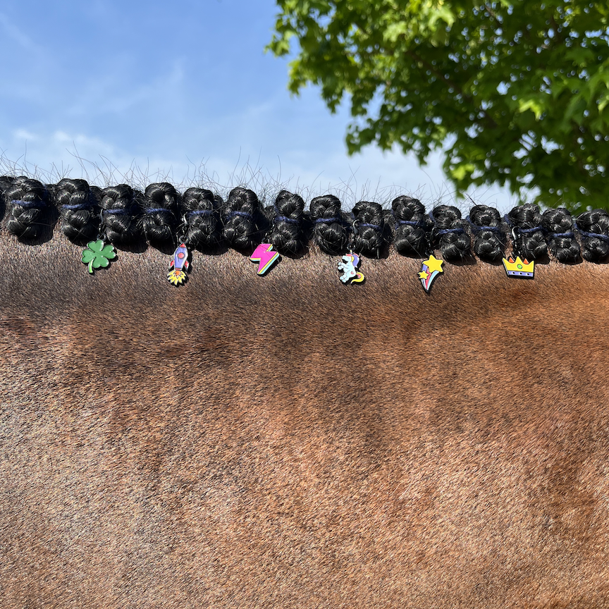 Pinsnickety clover, rocket ship, lighting bolt, flying unicorn, shooting star, and crown bridle charms clipped into a mane of hunter braids.