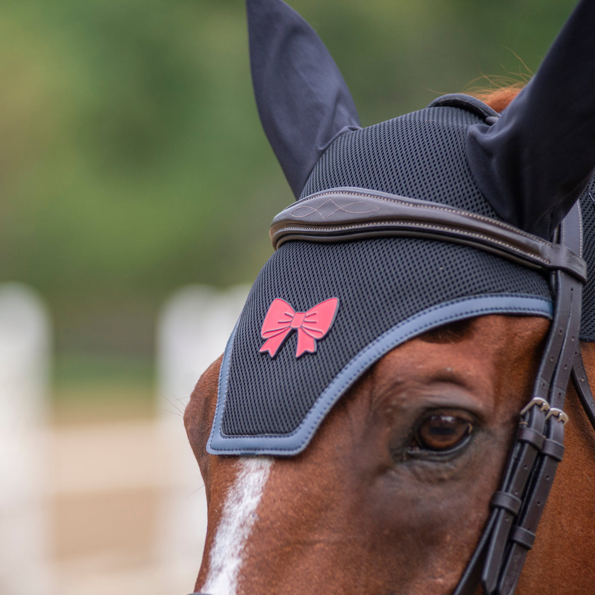 a close up photo of a chestnut horse wearing a pinsnickety back off red ribbon bonnet pin on a black mesh bonnet.
