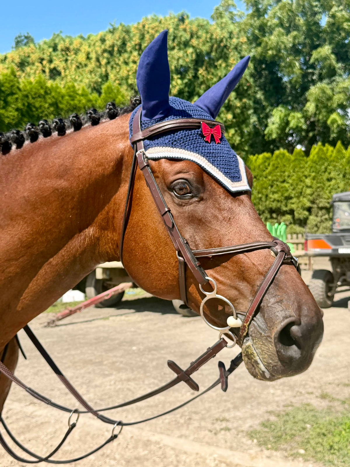 a brown horse wearing a blue jumper bonnet decorated with a pinsnickety back off red ribbon bonnet pin.