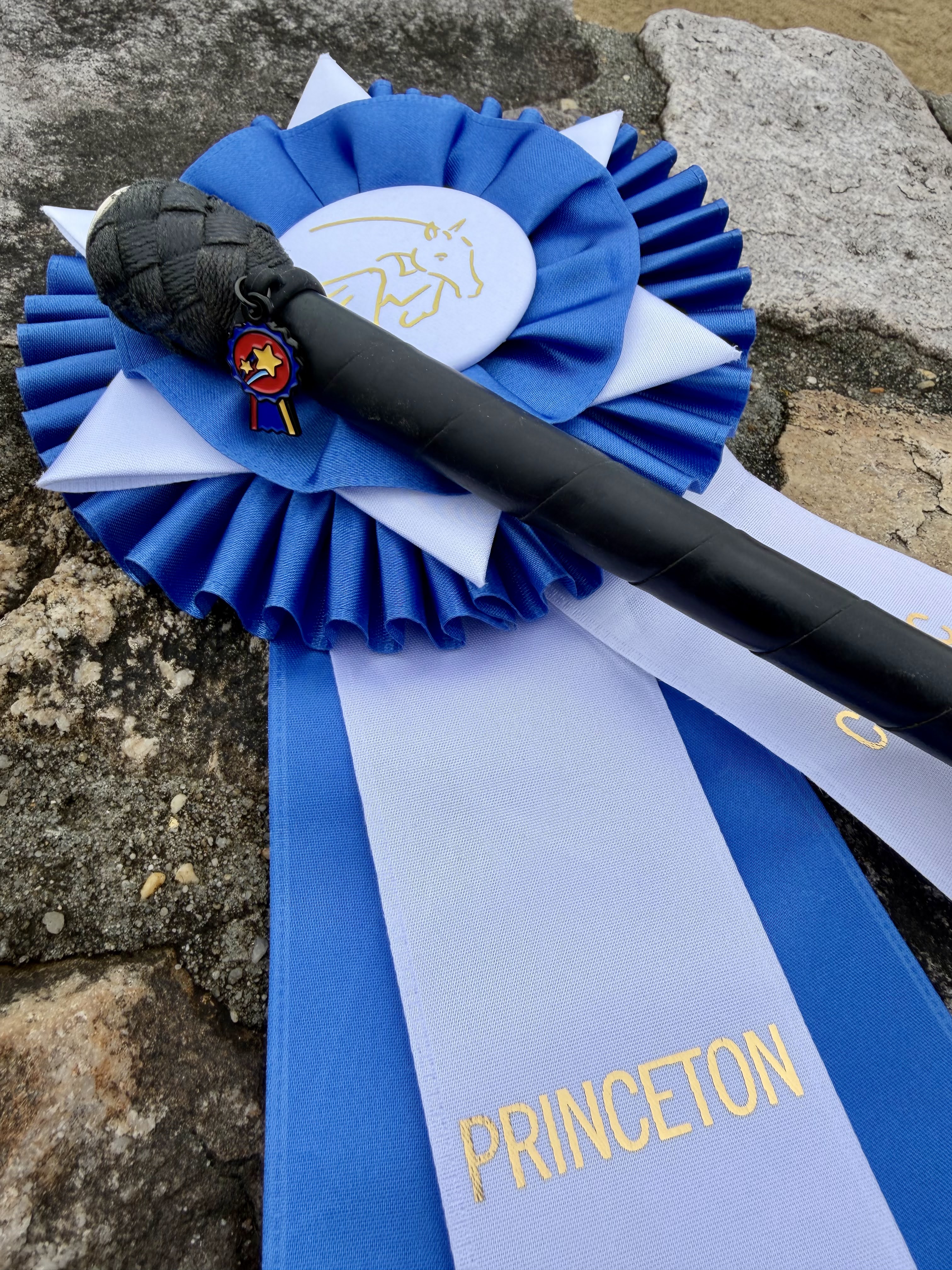 A jumper bat decorated with a pinsnickety champion crop charm sits on top of a blue ribbon