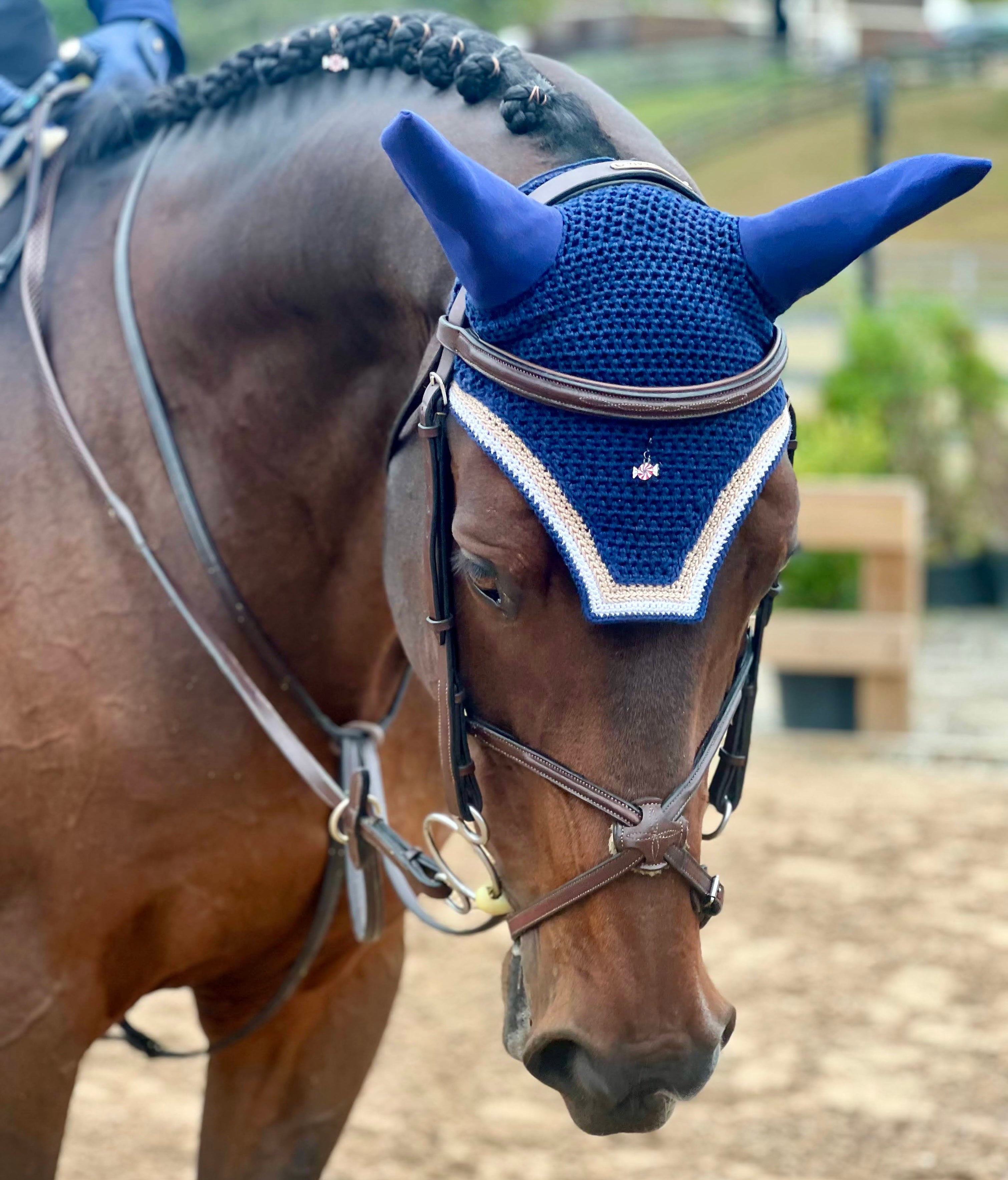 a horse dressed for a jumper classic wearing pinsnickety peppermint charms in his braids and on his bonnet