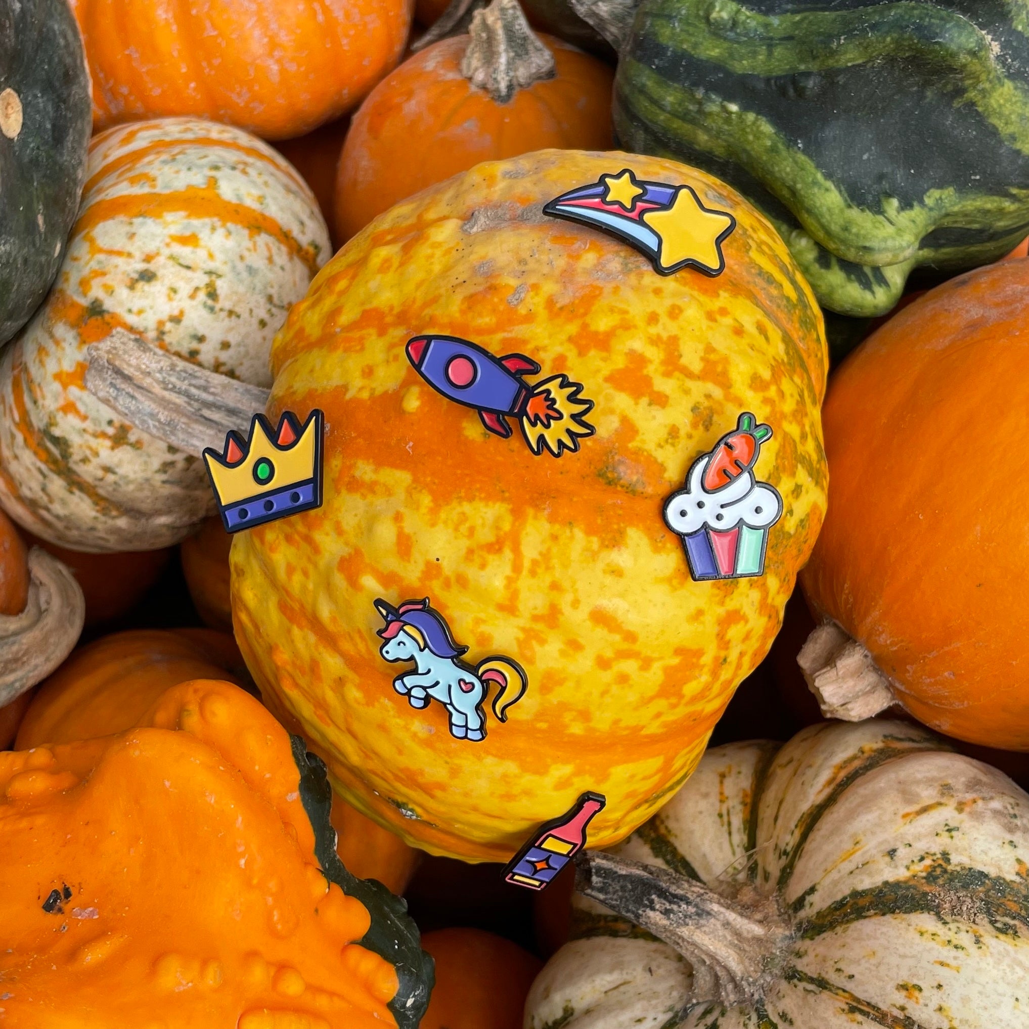 pinsnickety horse show number pins on a pumpkin sitting in a bin of other pumpkins