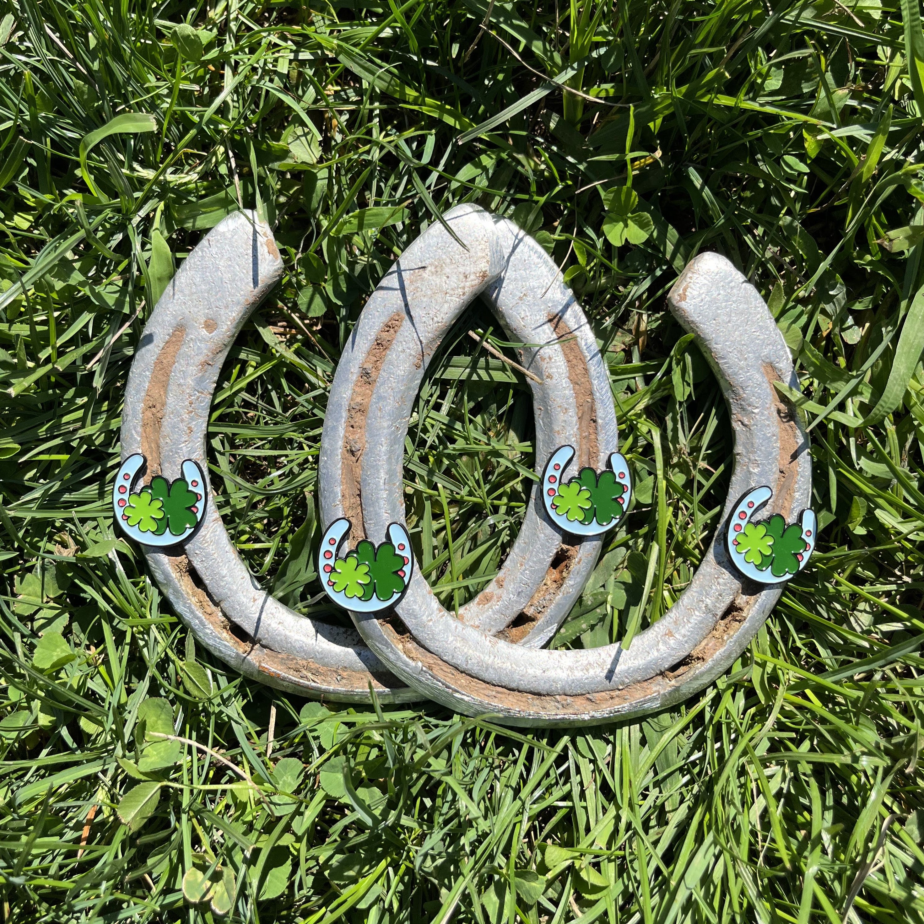pinsnickety horseshow horse show number pins in actual horseshoes laying on a lawn