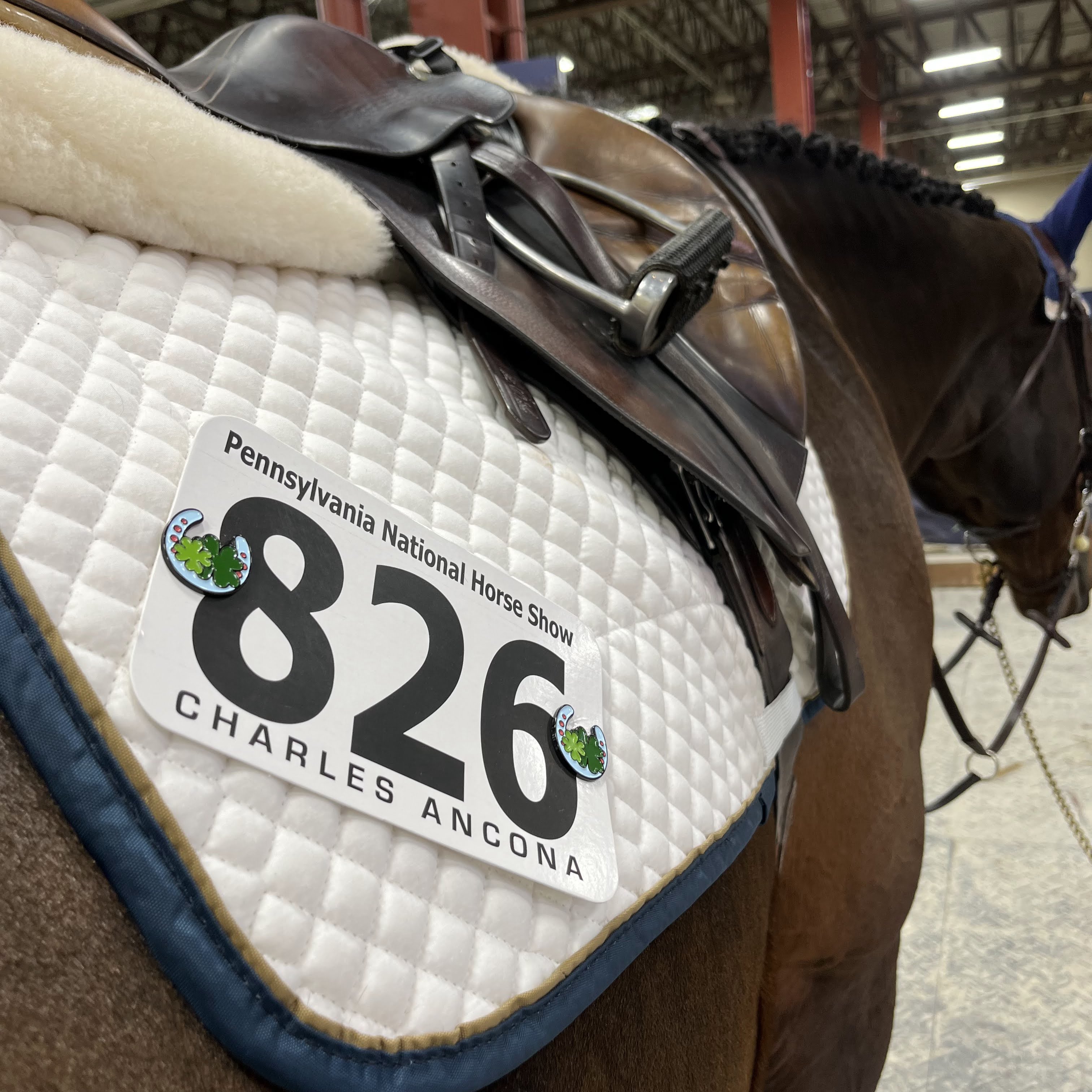 Pinsnickety horseshoe horse show number pins on a saddle pad at the Pennsylvania National Horse Show