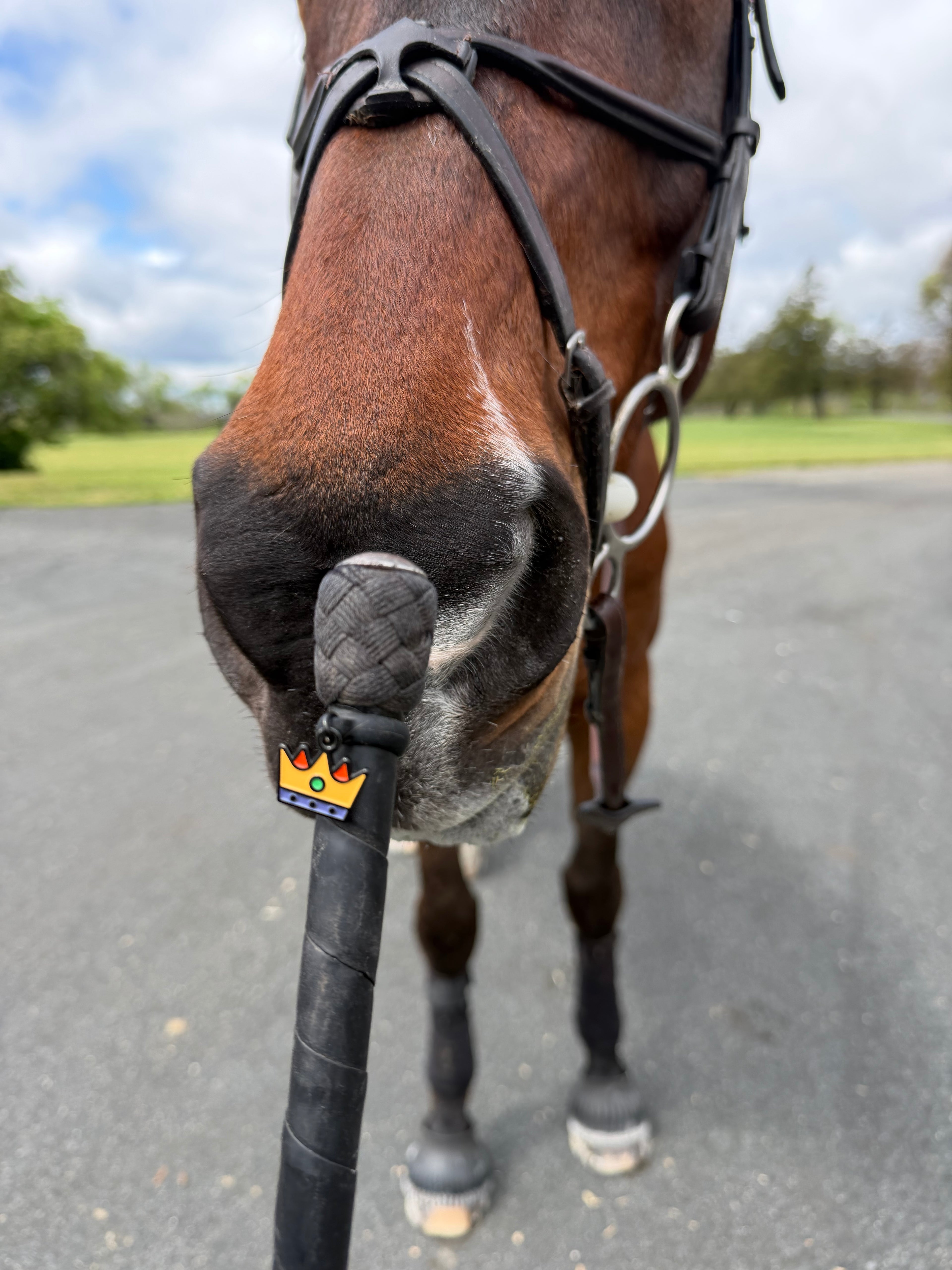 A close-up of a horse's nose, with crop handle in front. The whip is decorated with a yelllow, red and purple Pinsnickety crown crop charm.