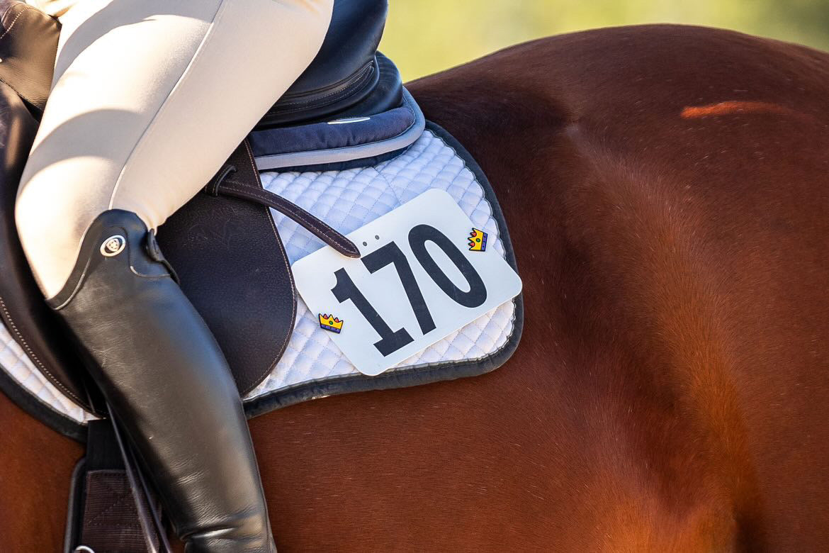 pinsnickety crown horse show number pins on a chestnut horse