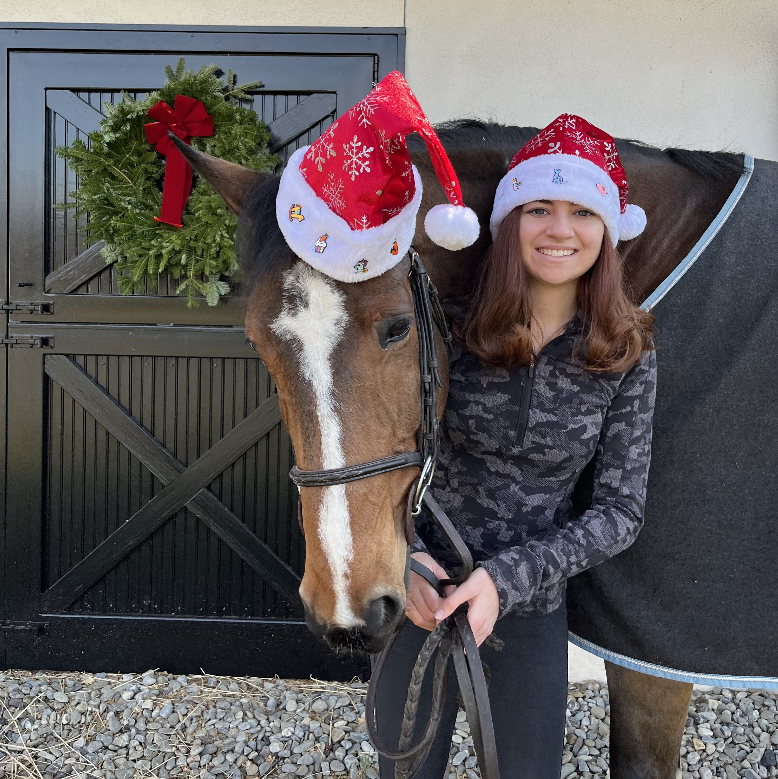 a horse and rider wearing santa hats with pinsnickety horse show number pins decorating them for Christmas because they make the best holiday gifts